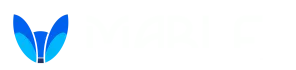 logorefeita